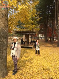 ทัวร์เกาหลี 