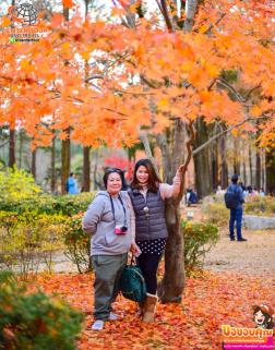 ทัวร์เกาหลี 