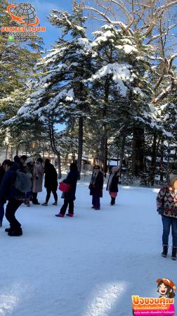 ทัวร์ญี่ปุ่น 