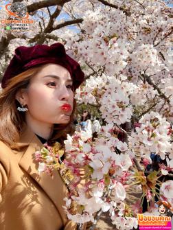 ทัวร์ญี่ปุ่น 