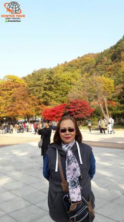 ทัวร์เกาหลี 