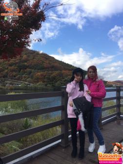 ทัวร์เกาหลี 