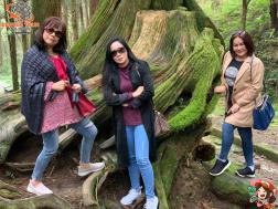 ทัวร์ไต้หวัน 