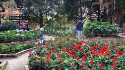 ทัวร์เวียดนาม 