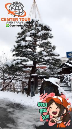 ทัวร์ญี่ปุ่น 