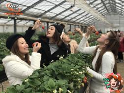 ทัวร์ญี่ปุ่น 