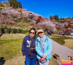 ทัวร์ญี่ปุ่น 