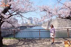 ทัวร์ญี่ปุ่น 