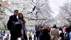 ทัวร์ญี่ปุ่น 