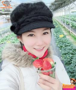 ทัวร์เกาหลี 