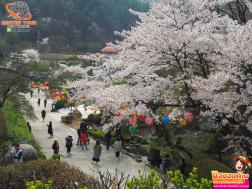 ทัวร์เกาหลี 