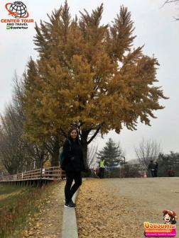 ทัวร์เกาหลี 