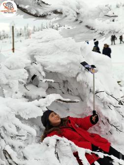 ทัวร์ญี่ปุ่น 