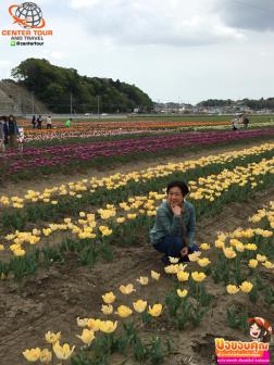 ทัวร์ญี่ปุ่น 