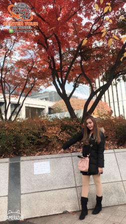 ทัวร์เกาหลี 