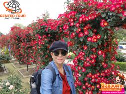 ทัวร์ญี่ปุ่น 