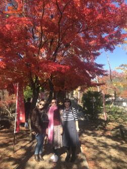 ทัวร์ญี่ปุ่น 