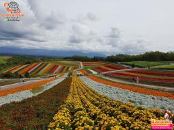 ทัวร์ญี่ปุ่น 