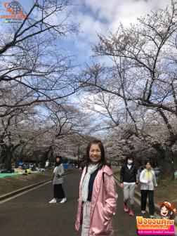 ทัวร์ญี่ปุ่น 