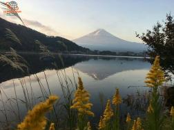 ทัวร์ญี่ปุ่น 