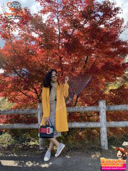 ทัวร์ญี่ปุ่น 