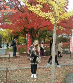 ทัวร์ญี่ปุ่น 