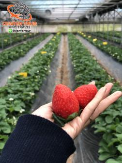 ทัวร์เกาหลี 