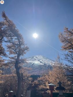 ทัวร์ญี่ปุ่น 