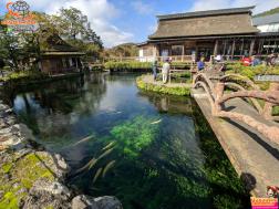 ทัวร์ญี่ปุ่น 