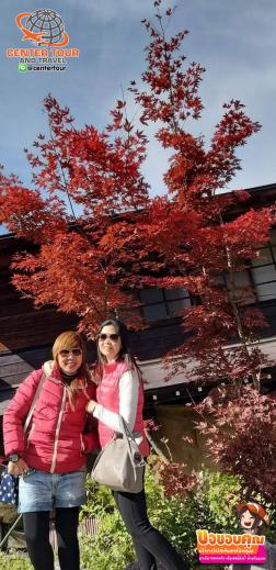 ทัวร์ญี่ปุ่น 