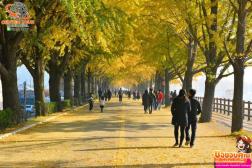 ทัวร์เกาหลี 