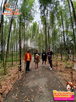 ทัวร์ญี่ปุ่น 