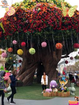 ทัวร์เกาหลี 