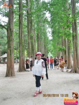 ทัวร์เกาหลี 