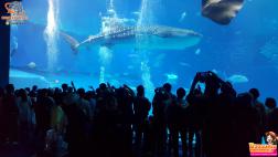 ทัวร์ญี่ปุ่น 