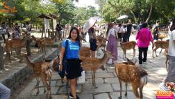 ทัวร์ญี่ปุ่น 