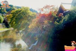 ทัวร์ญี่ปุ่น 