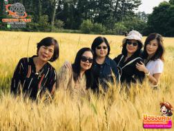 ทัวร์เกาหลี 