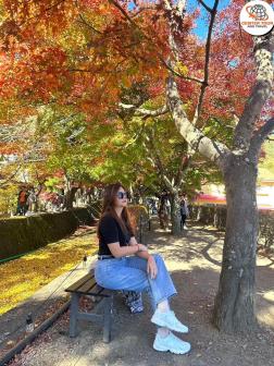 ทัวร์ญี่ปุ่น 