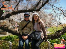 ทัวร์ญี่ปุ่น 