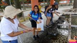 ทัวร์ญี่ปุ่น 