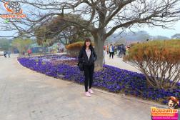 ทัวร์เกาหลี 