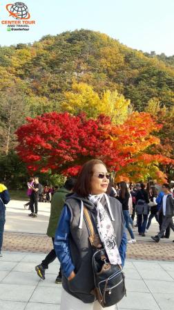 ทัวร์เกาหลี 