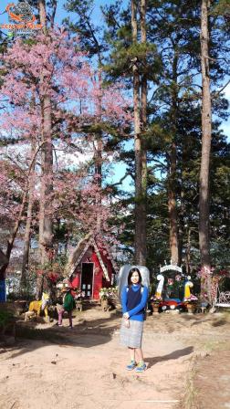 ทัวร์เวียดนาม 