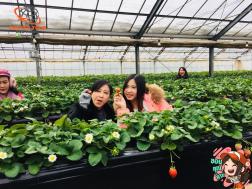 ทัวร์ญี่ปุ่น 