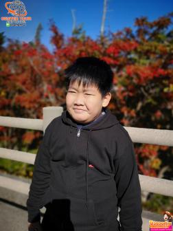 ทัวร์ญี่ปุ่น 