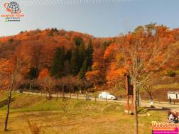 ทัวร์ญี่ปุ่น 