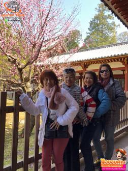 ทัวร์ญี่ปุ่น 