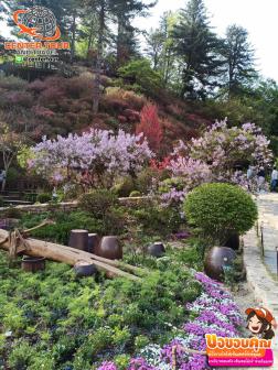 ทัวร์เกาหลี 