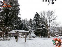 ทัวร์ญี่ปุ่น 